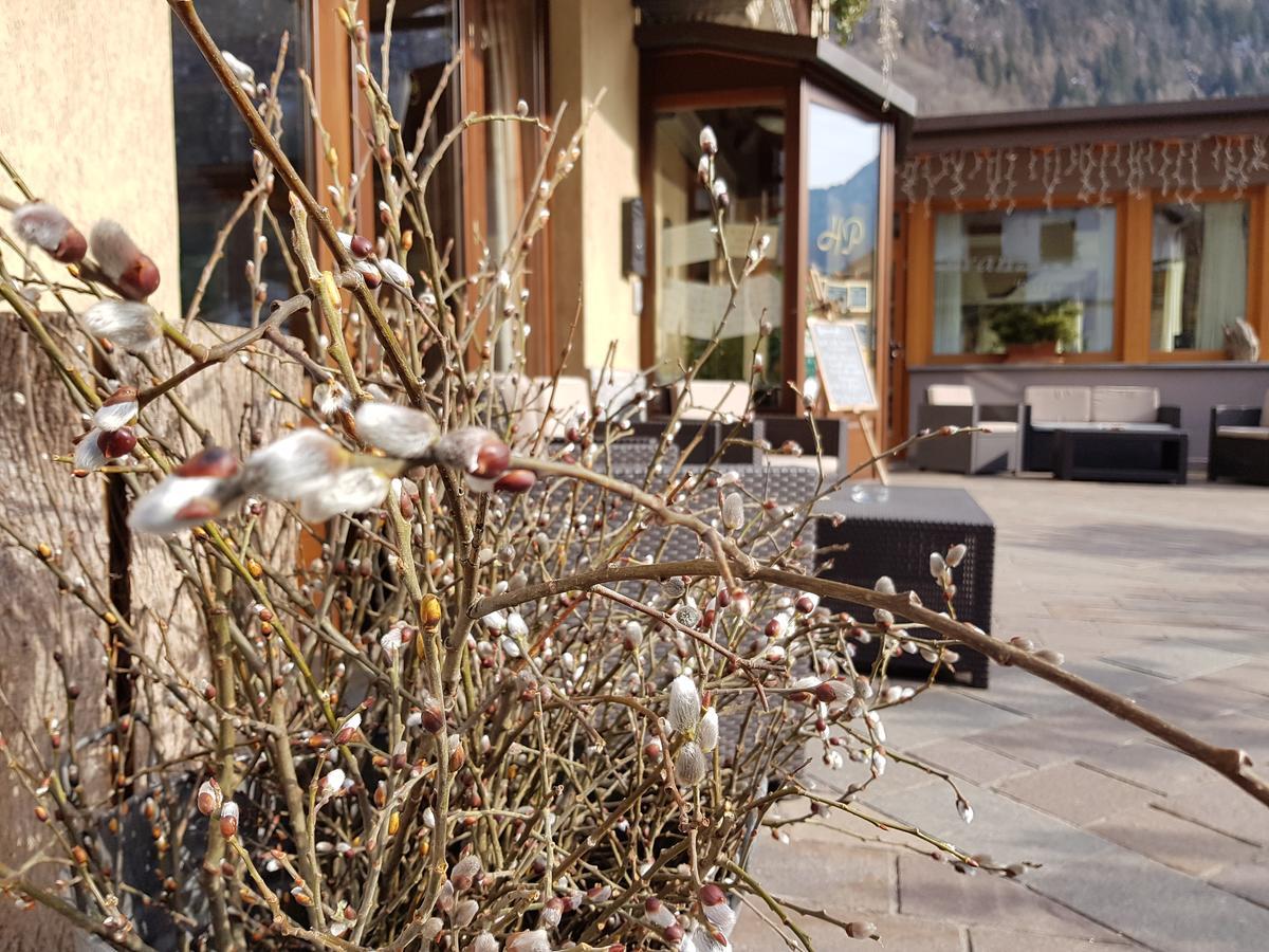 Hotel Pedretti Branzi Exterior foto